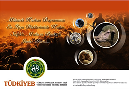 - Çiftçi kadınların mevcut sorunları göz ardı edilmemeli… - Çiftçi kadınların gelir getirici becerilerini güçlendirmeye yönelik projeler hayata geçirilmelidir. 14.10.2024 – Ankara - Türkiye Koyun Keçi Yetiştiricileri Merkez Birliği (TÜDKİYEB) Genel Başkanı Nihat Çelik, Birleşmiş Milletler Genel Kurulu’nda 1995 yılında alınan bir kararla kırsalda yaşayan kadınların durumuna ve önemine dikkat çekmek amacıyla 15 Ekim Dünya Çiftçi Kadınlar Günü olarak kutlandığını anımsatarak bu güne ilişkin birtakım açıklamalarda bulundu. TÜDKİYEB Genel Başkanı Nihat Çelik, çiftçi kadınların tarımın belkemiği konumunda olduğunu ifade ederek “ Çiftçi kadınlarımız birer anne, eş, bakıcı, ev kadını gibi birçok görevin yanında aynı anda üretimin de bire bir içindedir.