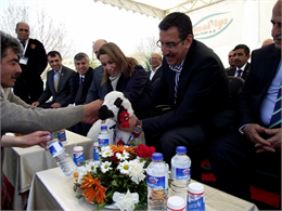 - Türkiye Koyun Keçi Yetiştiricileri Merkez Birliği Genel Başkanı Nihat Çelik: - " Yeni GAP Eylem Planı ile bölgede küçükbaş hayvan sayısının 11,8 milyona çıkarılacak olması sektörümüz için oldukça değerli…" - "GAP Bölgesinde 50 bin dekarlık alandaki mera ıslahı hayvan sayısındaki artışa olumlu katkı sağlayacak " 31.12.2024 - Ankara - Türkiye Damızlık Koyun Keçi Yetiştiricileri Merkez Birliği (TÜDKİYEB) Genel Başkanı Nihat Çelik, 2024-2028 dönemini kapsayan GAP Eylem planında küçükbaş hayvan varlığının artırılacağına yer verildiğini belirterek, "9 ilimizin yer aldığı GAP Bölgemizde küçükbaş hayvan sayısındaki hedefin 11,8 milyon olarak belirlenmiş olması sektörümüz açısından oldukça önemli ve değerlidir." dedi. Çelik, yaptığı açıklamada Cumhurbaşkanı Yardımcısı Cevdet Yılmaz ve 6 Bakanın katılımıyla Şanlıurfa’da gerçekleştirilen GAP Eylem Planı Bilgilendirme toplantısını küçükbaş hayvancılık açısından değerlendirdi. Türkiye ekonomisinin kalkınması için GAP Bölgesinin büyük önem taşıdığına dikkat çeken Çelik, bölgede tarımsal potansiyelin azami şekilde kullanılmasının hedeflenmesi ve bu hedefler içerisinde küçükbaş hayvancılığa ayrı bir önem verilmesinin sektör adına memnuniyet verici olduğunu söyledi.