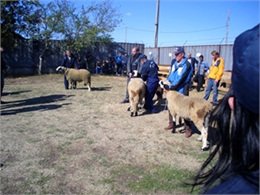 Türkiye Koyun Keçi Yetiştiricileri Merkez Birliği (TÜDKİYEB) Genel Başkanı Nihat Çelik, Elazığ Koyun Keçi Yetiştiricileri Birliği Başkanı Mahmut Sezer’i makamında kabul ederek sektörle ilgili birtakım görüşmelerde bulundu. TÜDKİYEB Genel Başkanı Çelik, ziyarete ilişkin olarak “Elazığ Birliğimizin Çok Değerli Başkanı Sayın Mahmut Sezer ve Birlik Üyesi Sayın Hıdır Yıldırım’ın Merkez Birliğimize yapmış olduğu ziyarette sektörümüzün ve Elazığ ilimizdeki yetiştiricilerimizin sorunları ve çözüm önerilerine ilişkin birtakım görüşmelerde bulunduk. Sektörümüze hizmet yolunda el ele vererek birlik beraberlik ruhuyla yapacağımız çalışmalarda başarı temennilerimle birlikte nazik ziyaretlerinden dolayı kıymetli Başkanım ve değerli üyemize teşekkür ediyorum ” dedi.