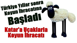 - " Barut kokan mera ve yaylalarımız “Terörsüz Türkiye ”de kuzu ve oğlaklarımızla şenlenecek." - " Yemyeşil mera ve yaylalarımızda silah sesleri değil kuzu ve oğlaklarımızın sesleri yükselecek." Türkiye Koyun Keçi Yetiştiricileri Merkez Birliği (TÜDKİYEB) Genel Başkanı Nihat Çelik, “Terörsüz Türkiye” sürecinden dolayı büyük memnuniyet duyduğunu belirterek, " Ülkemize yıllardır çok büyük zararlar veren terör belasının sona ermesiyle birlikte sektörümüz zirveye emin adımlarla ilerleyecektir." dedi. “Terörsüz Türkiye” kapsamında başlatılan süreçten özellikle Doğu ve Güneydoğu Bölgelerindeki yetiştiricilerin oldukça memnun olduğuna dikkat çeken Çelik, yeni sürecin tamamlanmasıyla birlikte şehirlerden köylere dönüşün hızlanacağını ve hayvancılığın daha ileri boyutlara taşınacağını ifade ederek başta Cumhurbaşkanı Recep Tayyip Erdoğan olmak üzere süreçte emeği, katkısı olan herkese sektörü adına teşekkür etti. Genel Başkan Çelik, “Terörsüz Türkiye” süreciyle birlikte bölgede mera ve yaylaların şenlenmeye başladığına işaret ederek “ Barut kokan meralarımız, yaylalarımız artık kuzu ve oğlaklarımızla şenlenecek.