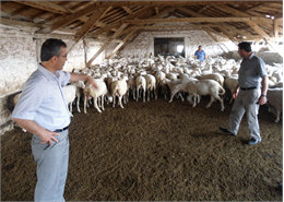 Ziraat Bankası tarafından İstanbul Haliç Kongre Merkezinde “ Ziraat Bankası 4. Tarım Ekosistemi Buluşması “ düzenlendi. Toplantıya Cumhurbaşkanı Recep Tayyip Erdoğan, Hazine ve Maliye Bakanı Mehmet Şimşek, Ziraat Bankası Genel Müdürü Alpaslan Çakar ve çok sayıda STK ve sektör temsilcilerinin yanı sıra Türkiye Koyun Keçi Yetiştiricileri Merkez Birliği (TÜDKİYEB) Genel Başkanı Nihat Çelik ve Denetleme Kurulu Başkanı Necat Demirden katılım sağladı.