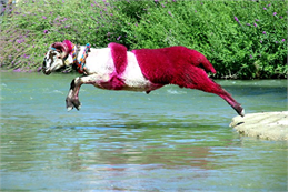 Milliyet Gazetesi / Meltem Güneş / 03.07.2025 Ülke genelinde hayvan pazarlarının süresiz kapanmasına neden olan şap hastalığı için Bakanlık “ Gıda arz güvenliğini etkilemez. Kırmızı et tüketiminde herhangidir risk yok “ dedi. Sektör temsilcileri de fahiş fiyat fırsatçılarına karşı uyardı.