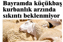 Türkiye Damızlık Koyun Keçi Yetiştiricileri Merkez Birliği (TÜDKİYEB) Genel Başkanı Nihat Çelik “Bu zor süreçte sürü büyütme desteği yetiştiricilerimize büyük moral olmuştur.” dedi. Tarım ve Orman Bakanı Bekir Pakdemirli tarafından küçükbaş hayvan yetiştiricilerine 187 milyon lira tutarında sürü büyütme ve yenileme desteği ödeneceği hususunda açıklama yapan TÜDKİYEB Genel Başkanı Çelik, “Bu zor süreçte sürü büyütme desteği yetiştiricilerimize büyük moral olmuştur.” yorumunda bulundu. Genel Başkan Çelik, ayrıca Bakanlık tarafından küçükbaş hayvanların tanımlanmasında kullanılacak elektronik küpe uygulamasının ücretsiz olacağı açıklamasını da anlamlı bularak Bakan Pakdemirli'ye yetiştiriciler adına teşekkür etti.